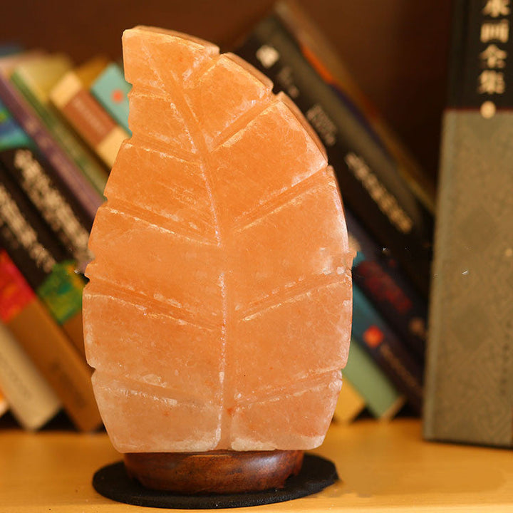 Salt Crystal Leaf Lamp