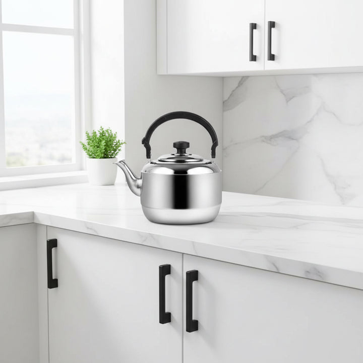 Xiao Yan Stainless Steel Kettle