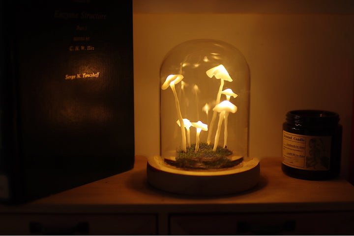 Mushroom Colony Biome Lamp