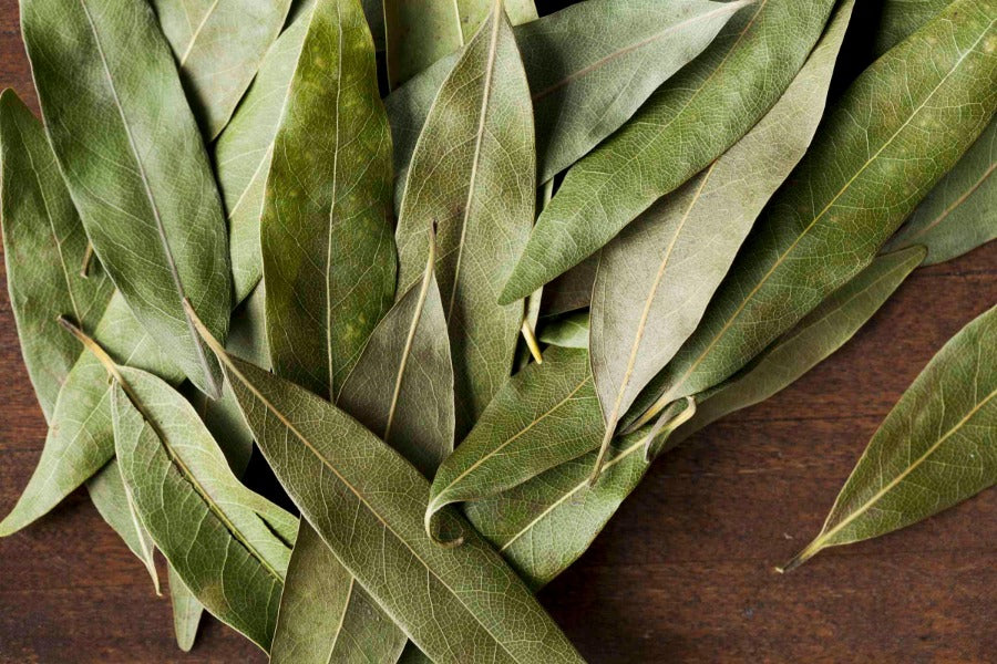 Whole California bay leaves, flat dark green leaves with pale veins