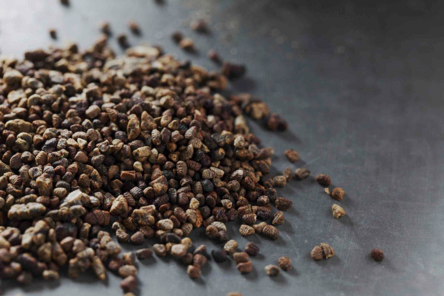 Whole cardamom seeds, small brown pods scattered on a dark surface