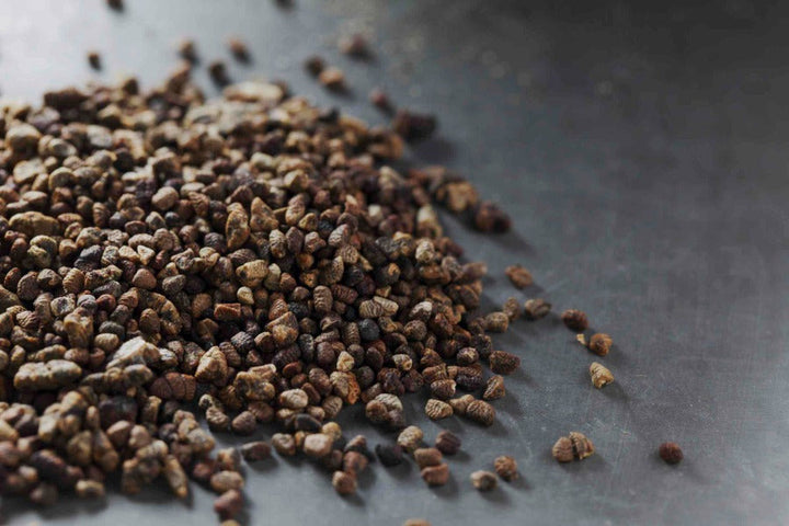 Whole cardamom seeds, small brown pods scattered on a dark surface