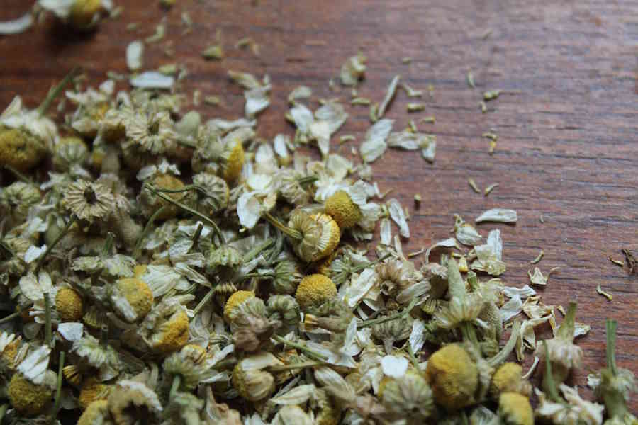 Whole chamomile dried flowers, loose herbal blend