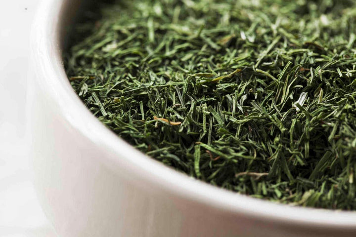 Dill weed cut and sifted, loose green herb in a white bowl