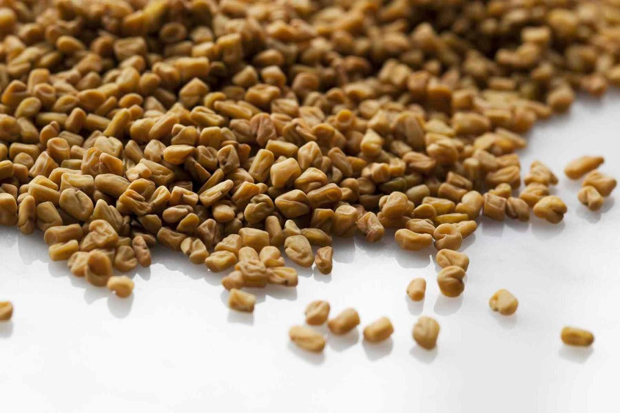 Whole fenugreek seeds, golden-brown dried grains for cooking seasoning.