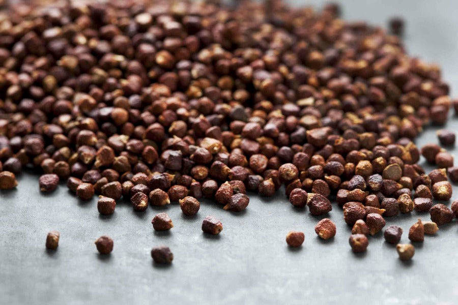 Grains of Paradise whole seeds, dark brown spice grains
