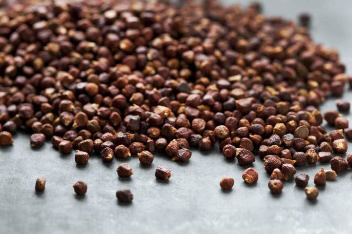 Grains of Paradise whole seeds, dark brown spice grains