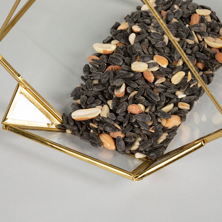 Glass bird feeder tray filled with black and tan seeds, gold frame edge visible