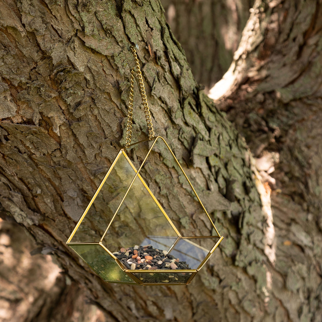Hanging glass bird feeder with gold metal frame, filled with seeds, on a tree