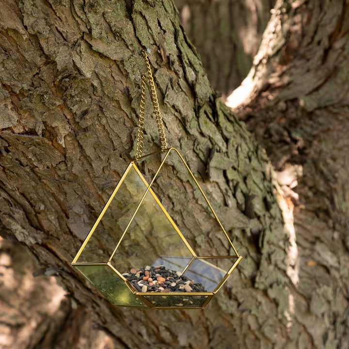 Hanging glass bird feeder with gold metal frame, filled with seeds, on a tree