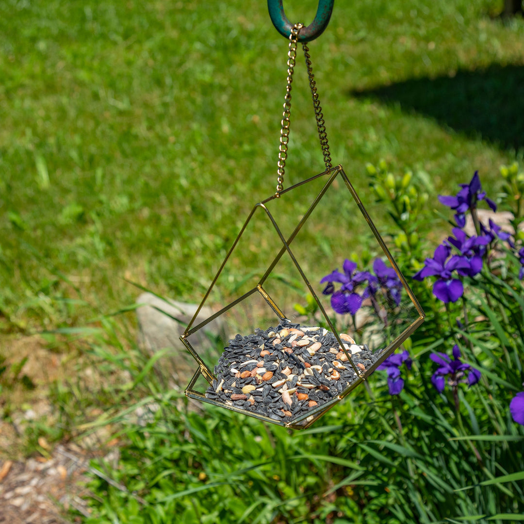 Hanging glass bird feeder with gold frame and seed fill, suspended outdoors