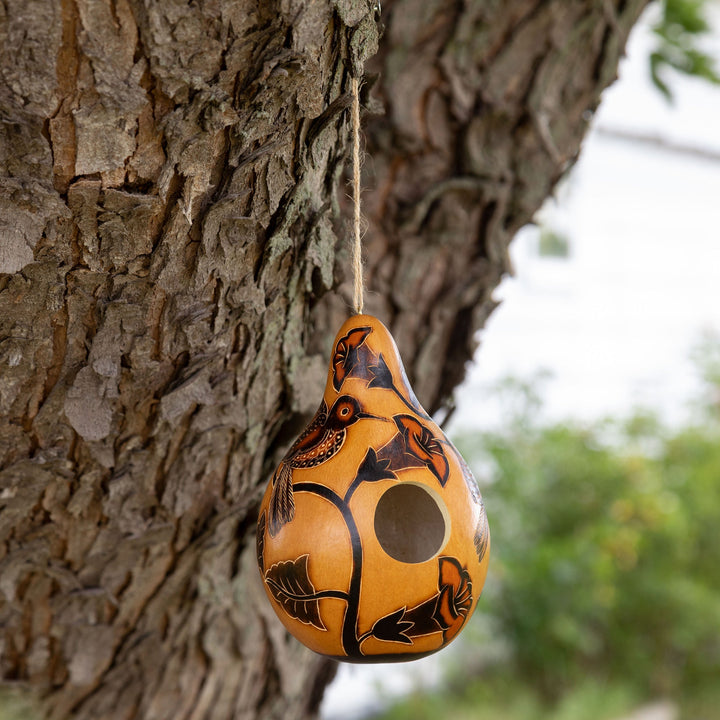 Hanging gourd birdhouse on tree, orange body with painted black motifs and round entry