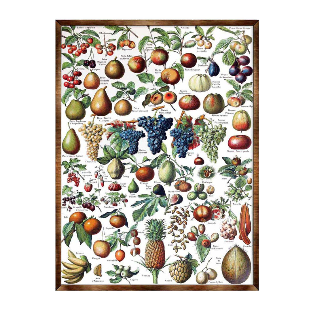 Wood-framed fruit educational poster with colorful illustrated fruits and leaves, full view