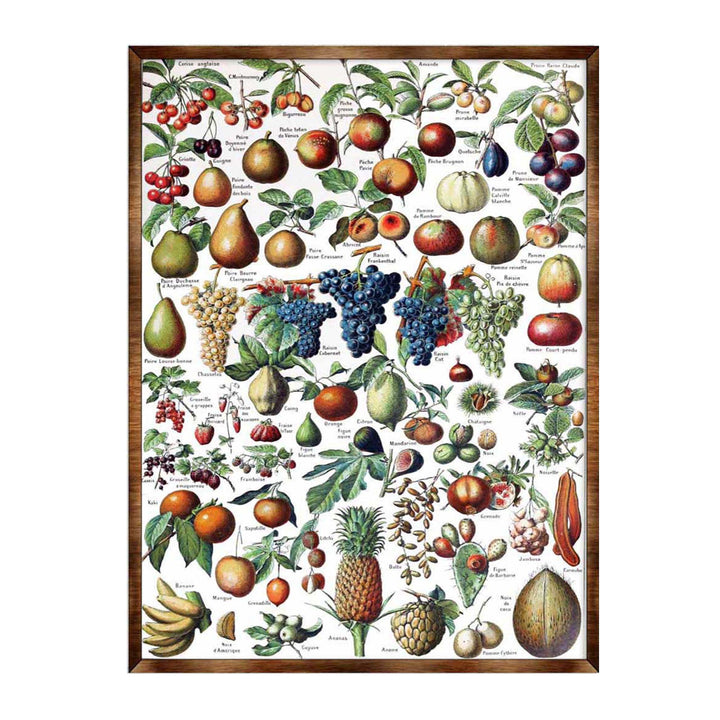 Wood-framed fruit educational poster with colorful illustrated fruits and leaves, full view