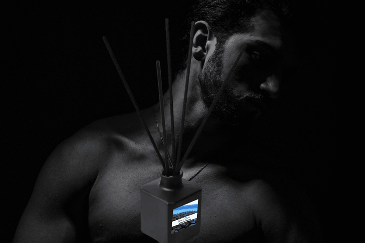 Reed Diffuser | Bold & Masculine | Wood Smoke Obsidian