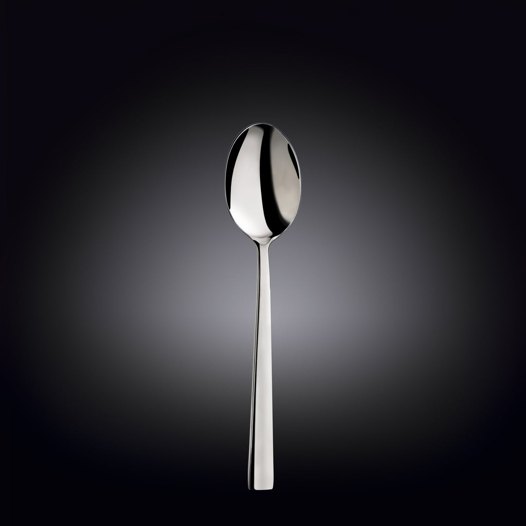 Dinner spoon set, polished stainless steel, 8 in (20 cm)