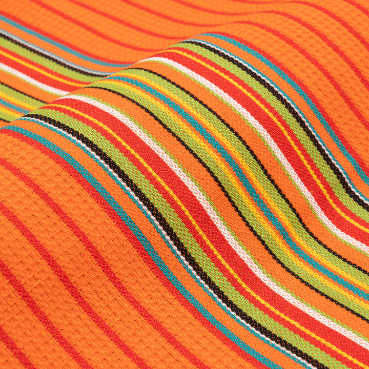 Salsa Stripe Kitchen Towels—100% Cotton (Pack of 6)