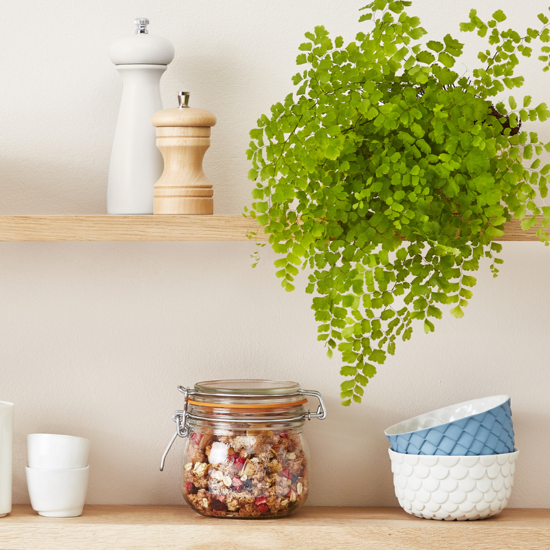Le Parfait Super Jars