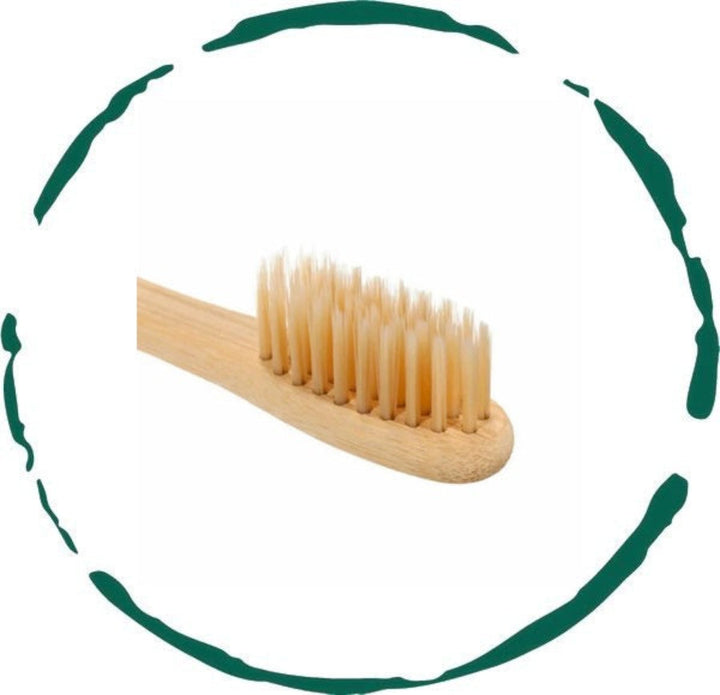 Bamboo toothbrush with soft bristles on wooden handle, head at angle