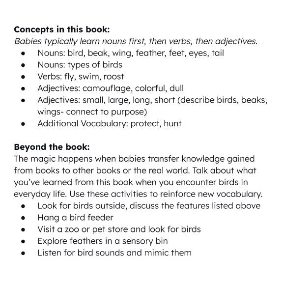 Birds book interior page with a bullet list of bird nouns, verbs, and adjectives