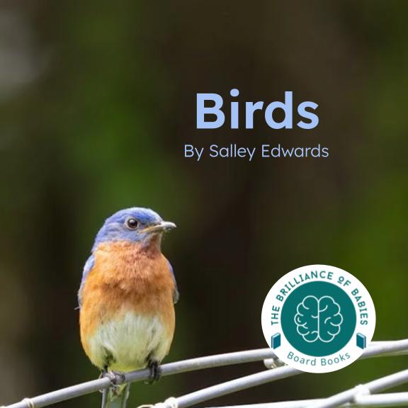 Birds book cover with blue title and a perched bird on a branch