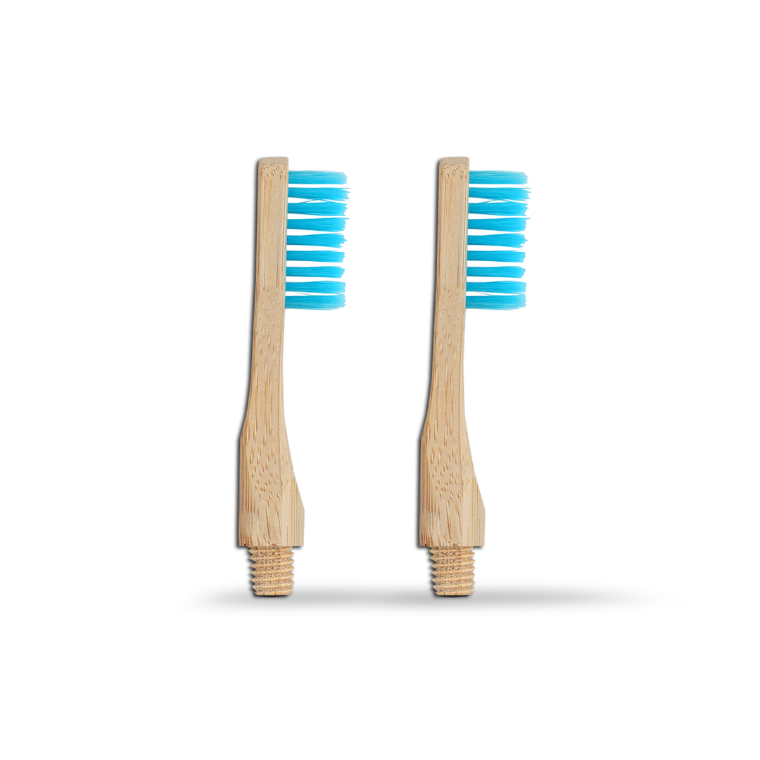 Revolve reusable bamboo toothbrush pair with blue bristles and natural wood-look handles.