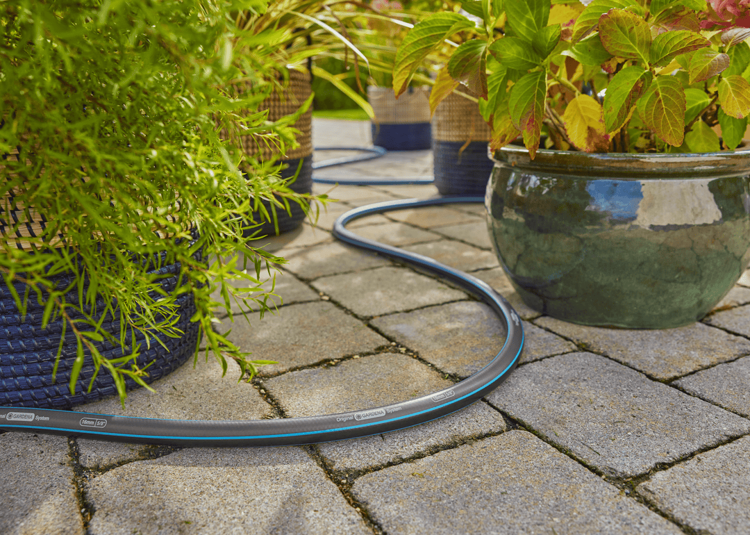 Blue-striped garden hose looped on stone pavers near outdoor plants