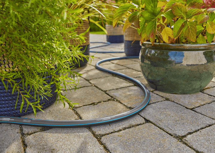 Blue-striped garden hose looped on stone pavers near outdoor plants