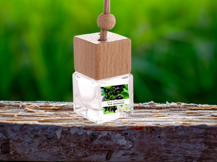 Clean & Fresh Hanging Car Freshener Collection – Crisp Linen, Cotton & Ocean Breeze Aromas