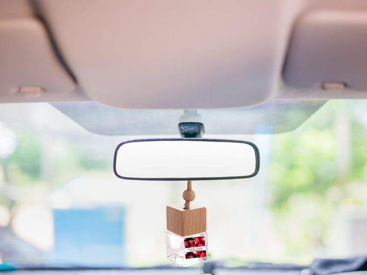 Fruity & Juicy Hanging Car Freshener Collection – Sweet, Playful & Tropical Car Scents