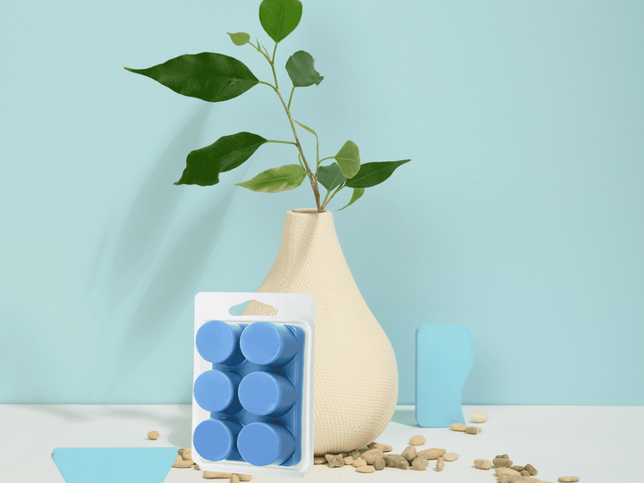 Clamshell Wax Melts – Spring & Summer scents – Fresh, Fruity & Floral for Bright Seasonal Vibes