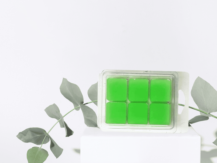 clamshell Wax Melts - Best-Selling scents  - Signature Collection
