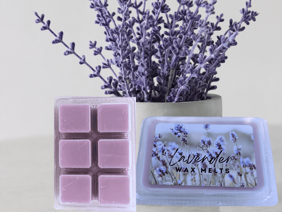 clamshell Wax Melts - Best-Selling scents  - Signature Collection