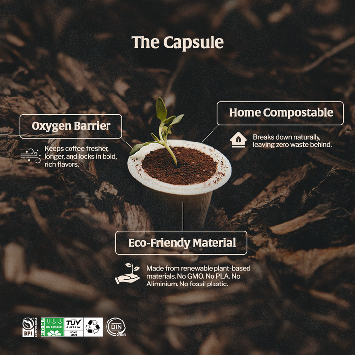 Organic Mexico - Espresso