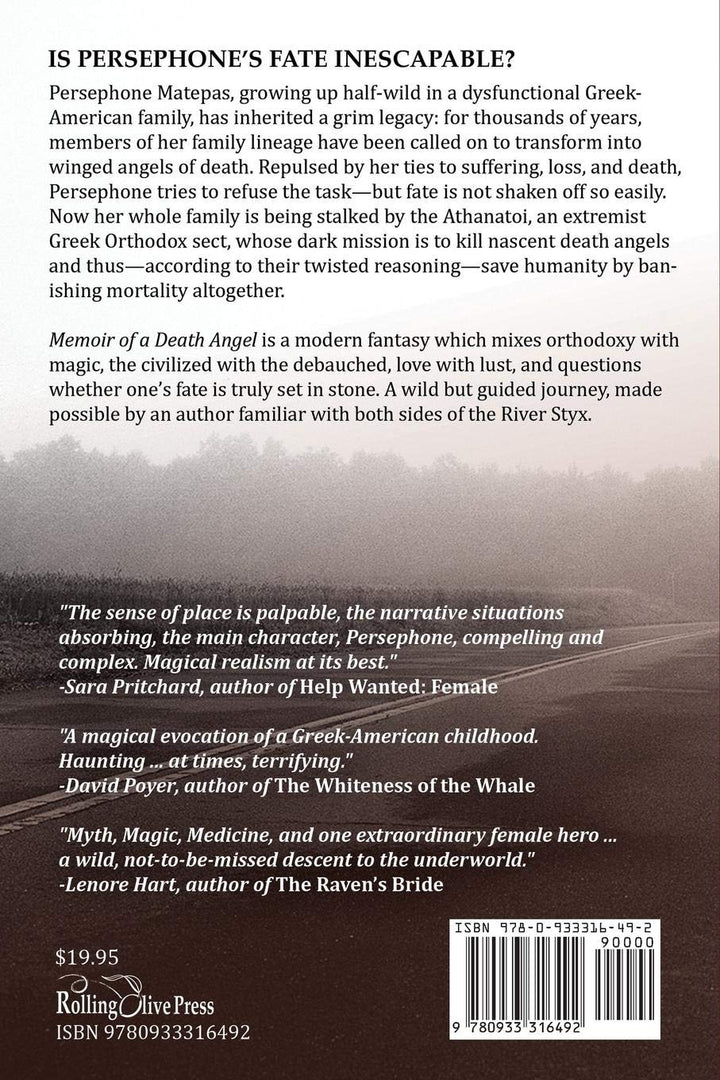 Paperback back cover with paragraphs, quotes, price $19.95, and ISBN barcode