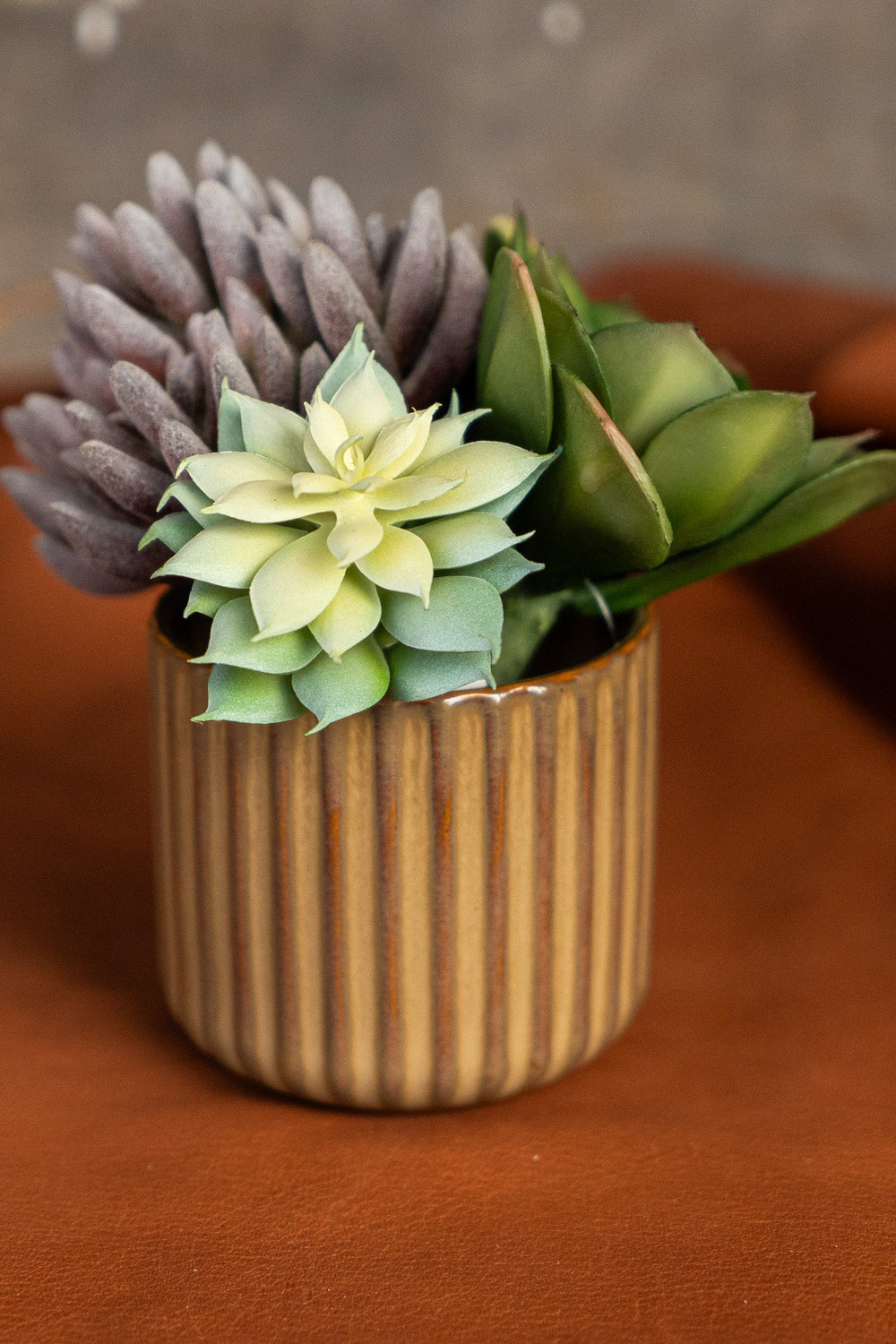 Ribbed ceramic planter holding a small succulent arrangement