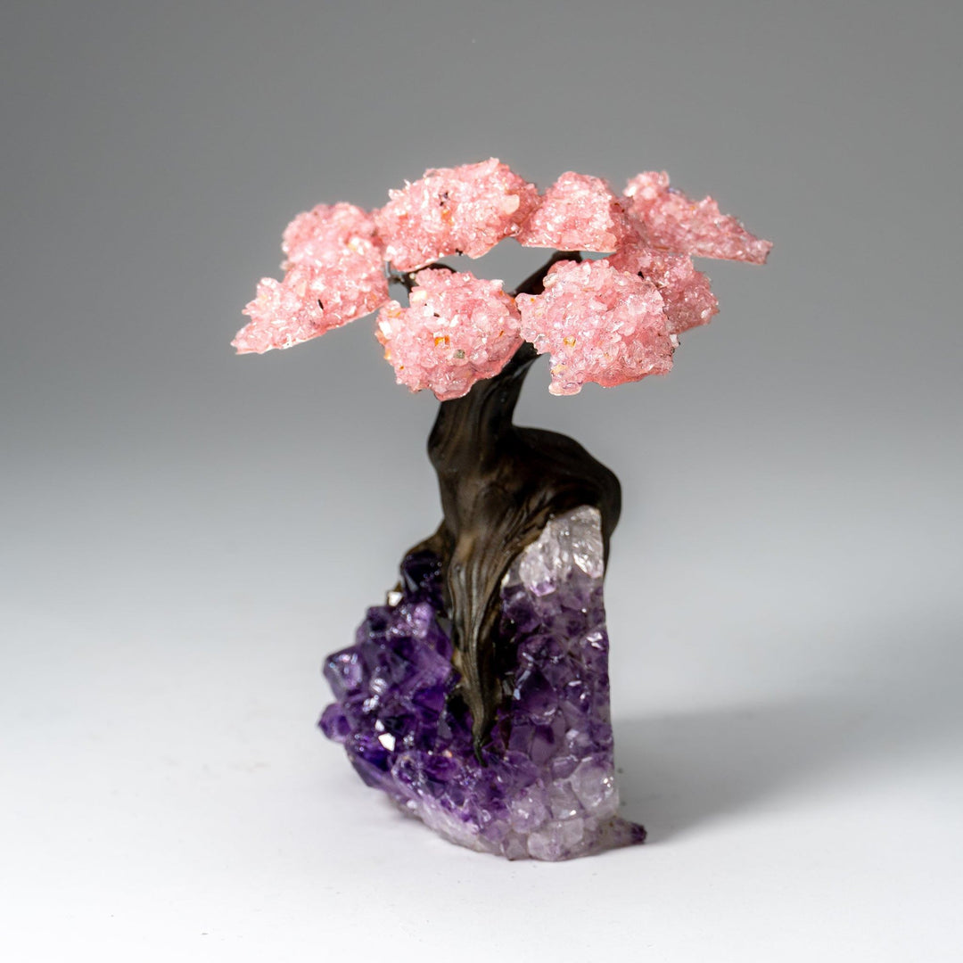Genuine Rose Quartz Clustered Gemstone Tree on Amethyst Matrix (5 inch)(The Love Tree)