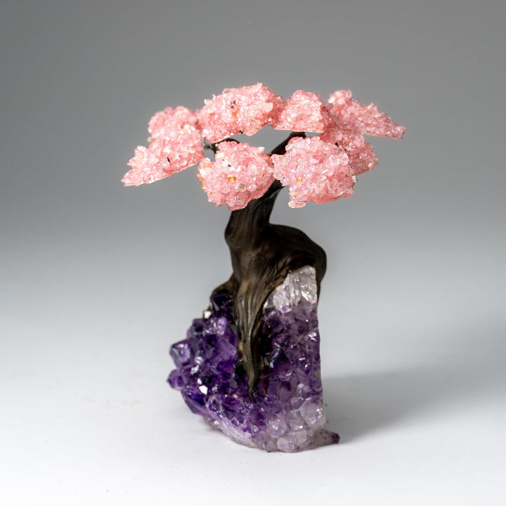 Genuine Rose Quartz Clustered Gemstone Tree on Amethyst Matrix (5 inch)(The Love Tree)