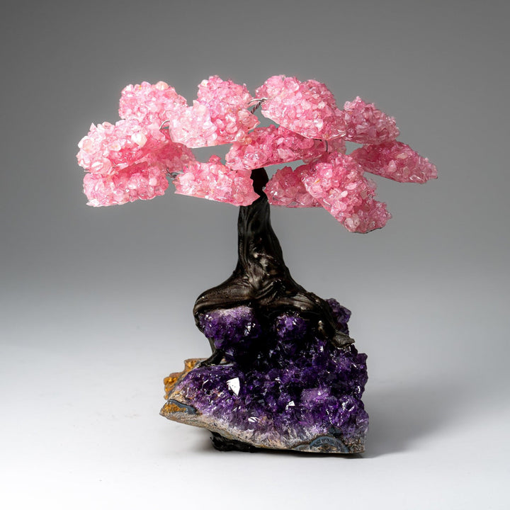Genuine Rose Quartz Clustered Gemstone Tree on Amethyst Matrix (7 inch)(The Love Tree)