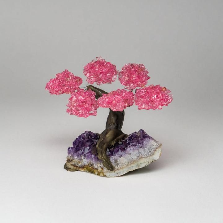 Genuine Rose Quartz Clustered Gemstone Tree on Amethyst Matrix (4 inches)(The Love Tree)