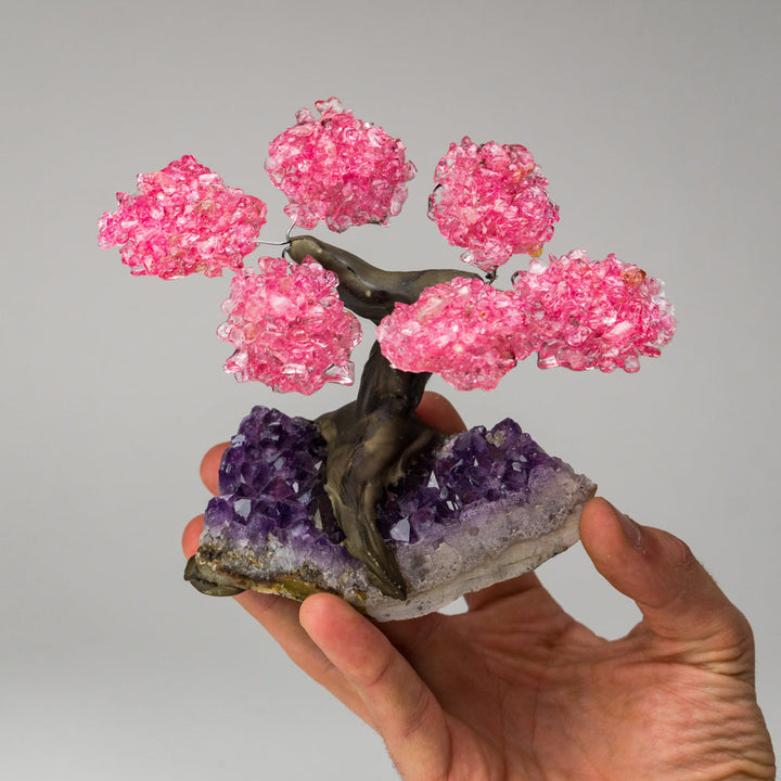 Genuine Rose Quartz Clustered Gemstone Tree on Amethyst Matrix (4 inches)(The Love Tree)