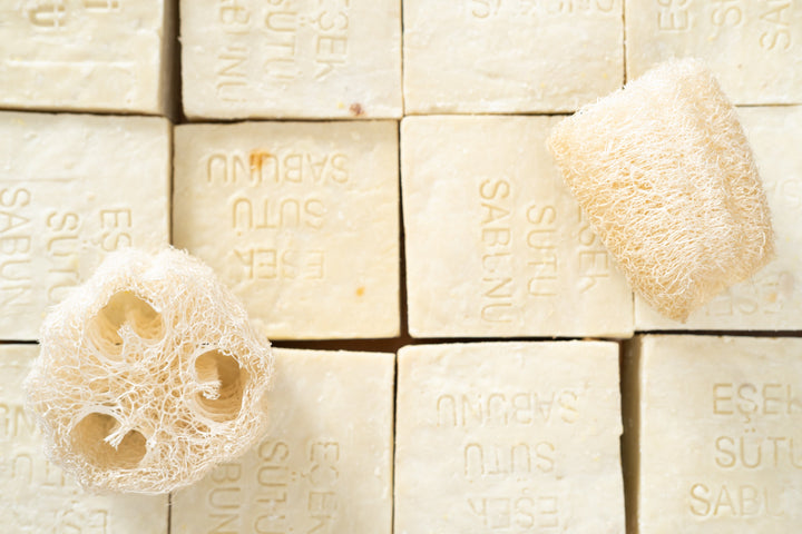 Donkey Milk Soap Bar