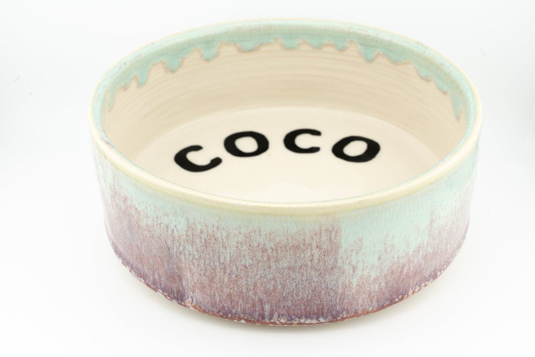 Ceramic dog bowl with &