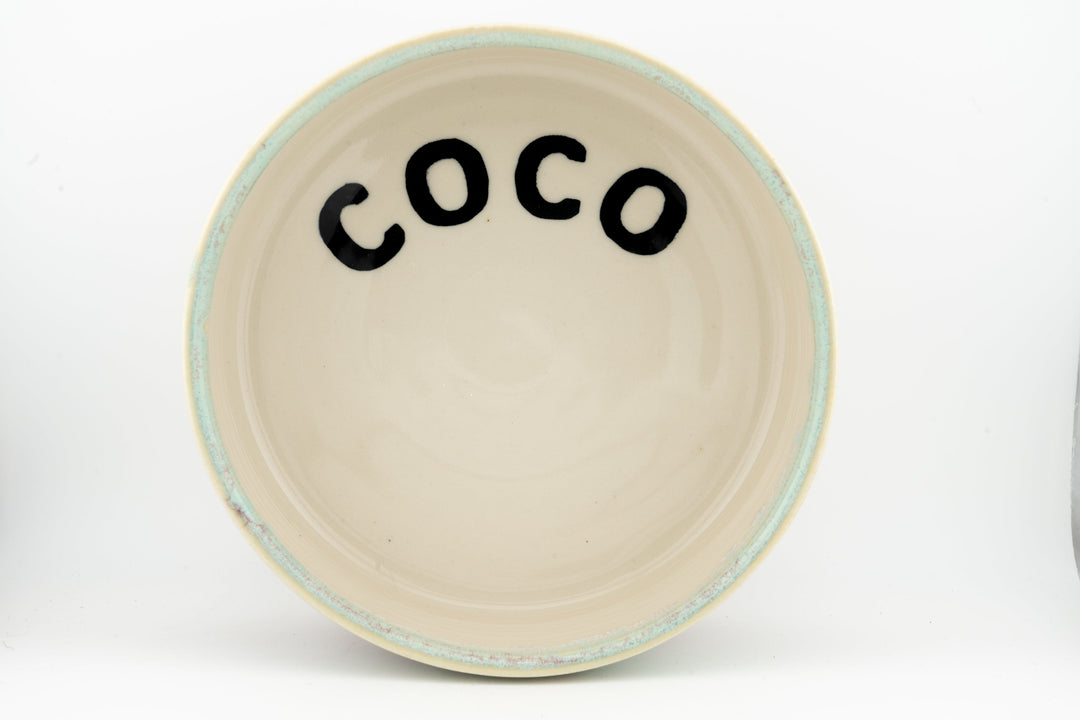 Ceramic dog bowl with &