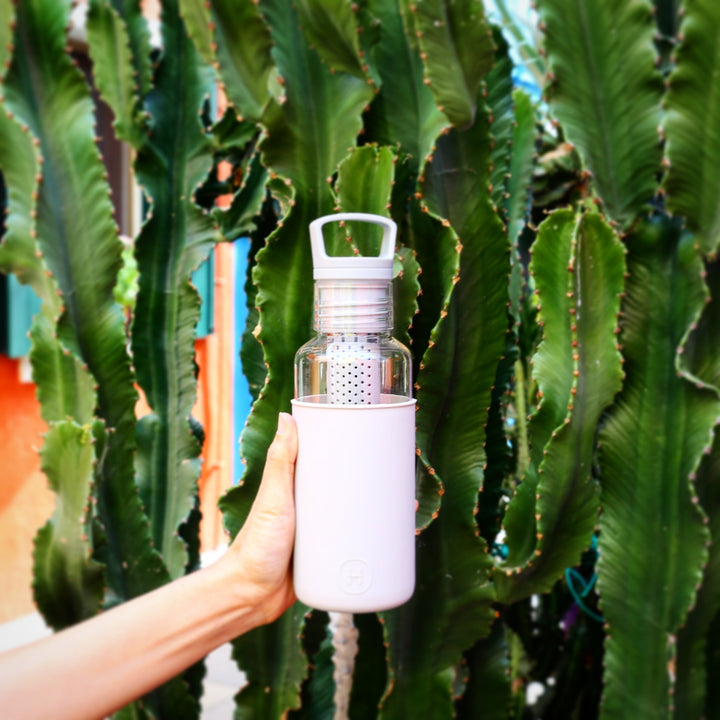 20 oz grey bottle with clear infuser and flip-top lid held near cacti