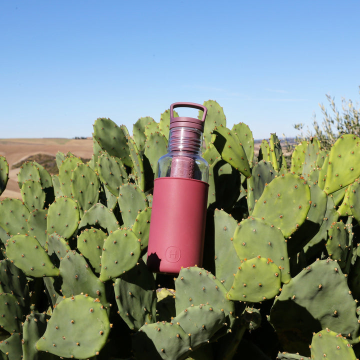 Wine-red 20 oz water bottle standing with clear top and flip-top lid