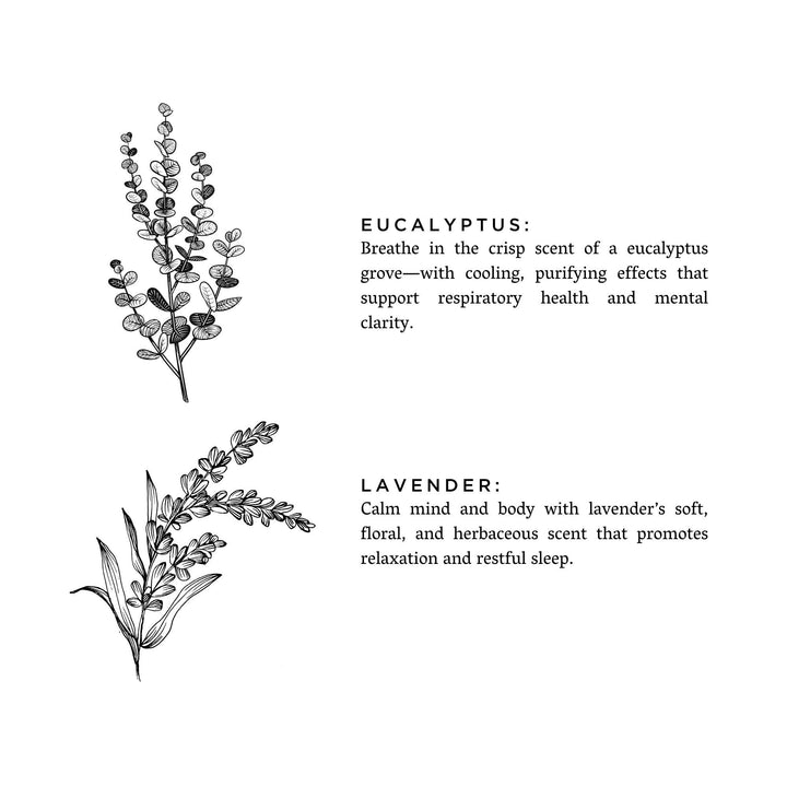 Eucalyptus + Lavender - Signature Soy Candle