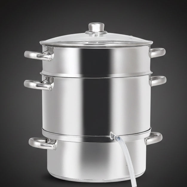 Stainless Steel Steamer & Juicer