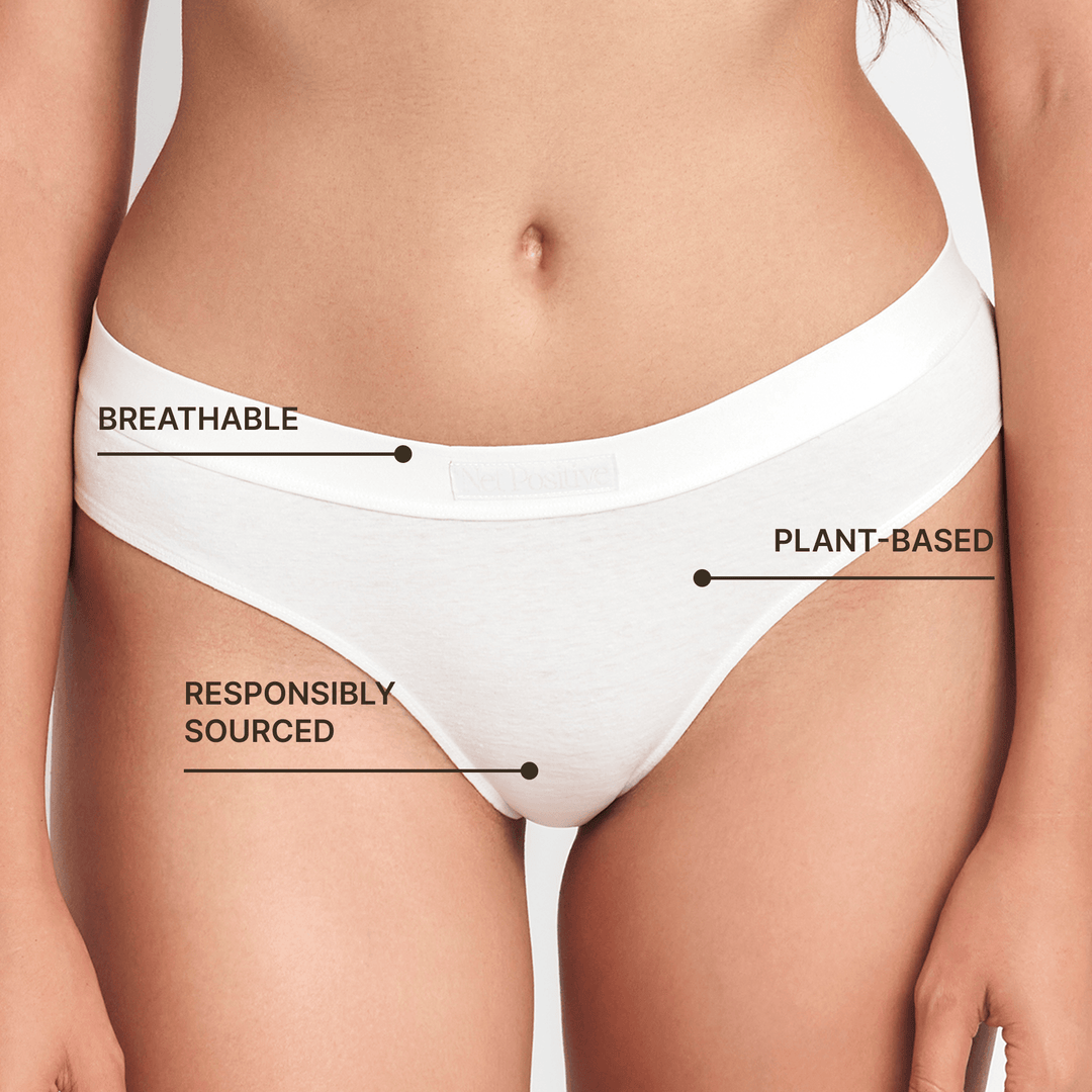 Mid-rise briefs, smooth white stretch fabric, close-up of waistband and leg opening