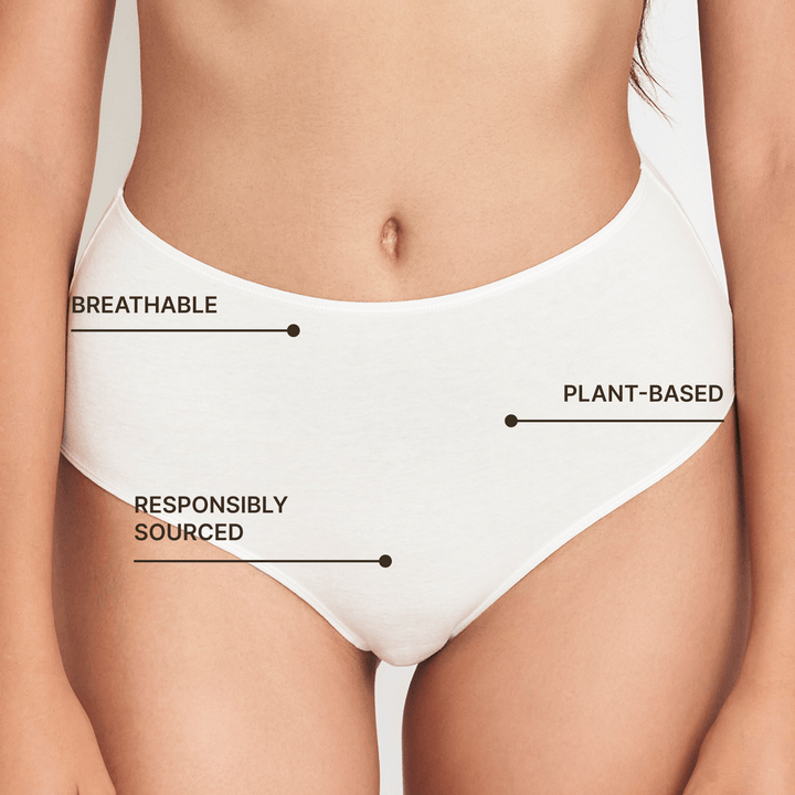 High-rise brief underwear in white with full coverage brief style and smooth waistband.